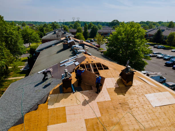 Best Gutter Installation and Roofing  in Rden City, GA