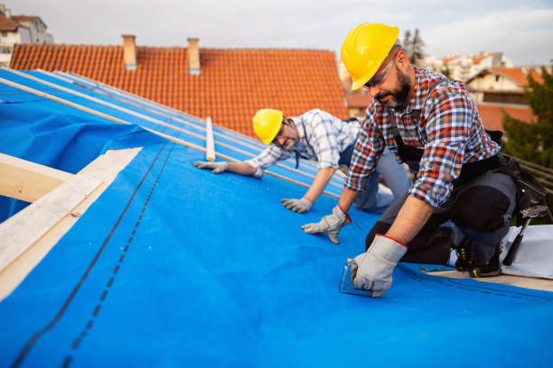 Best Metal Roofing Contractor  in Rden City, GA